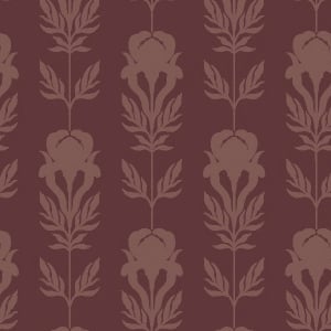 Claret Iris