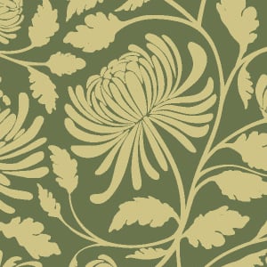 Spring Chrysanths