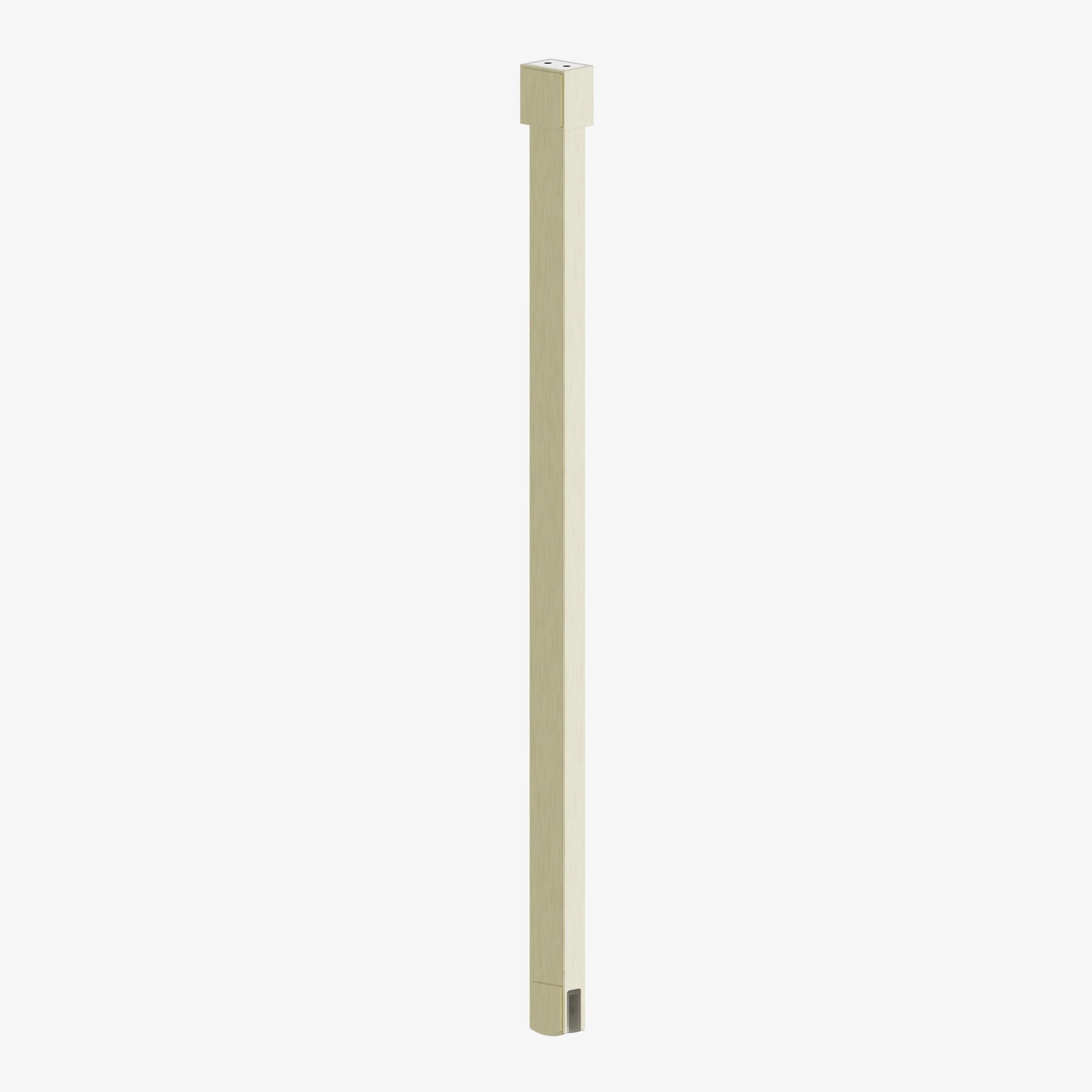 buceilbracef-cut.jpg