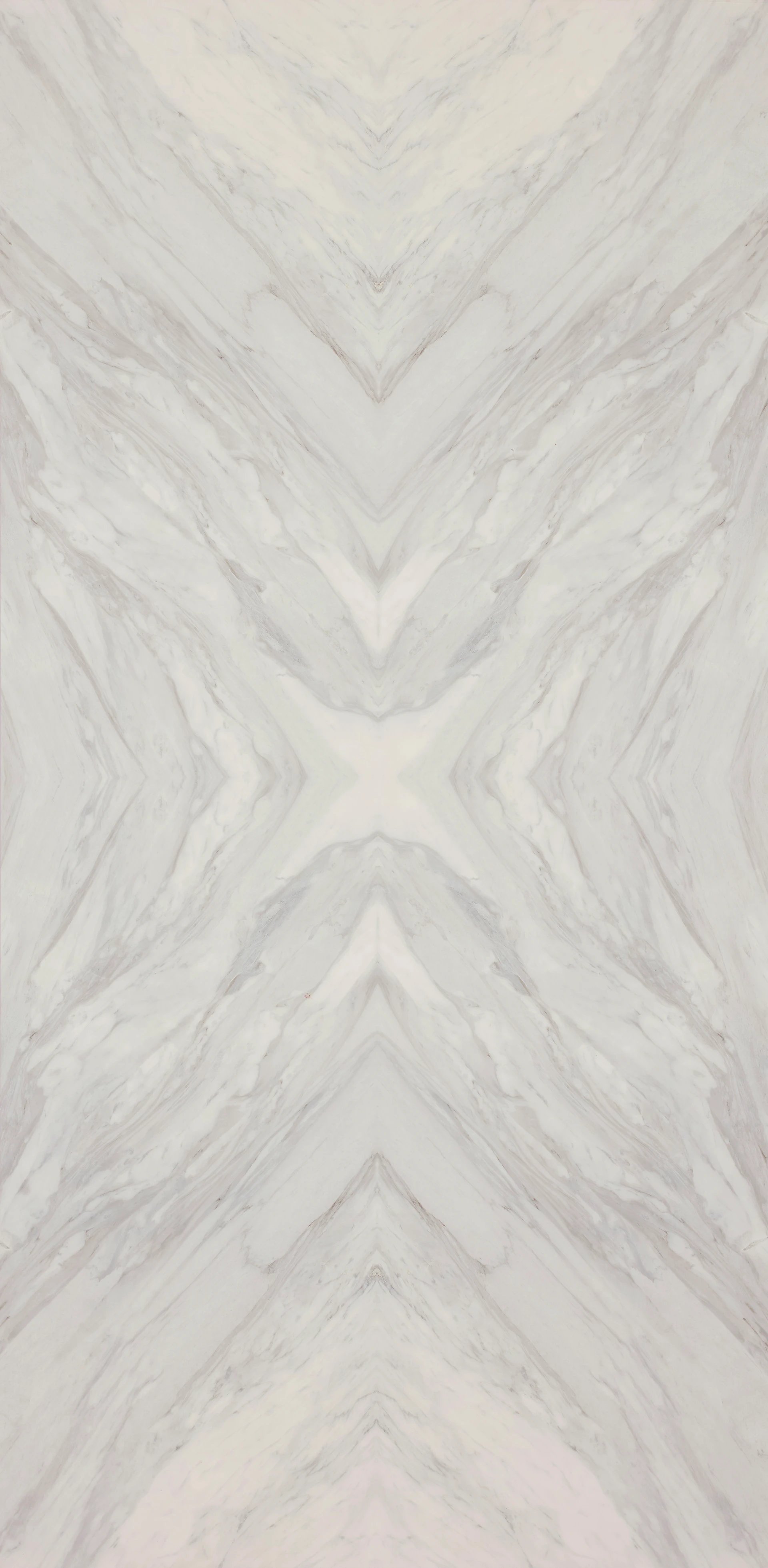 bur08wpcp60-cut.jpg