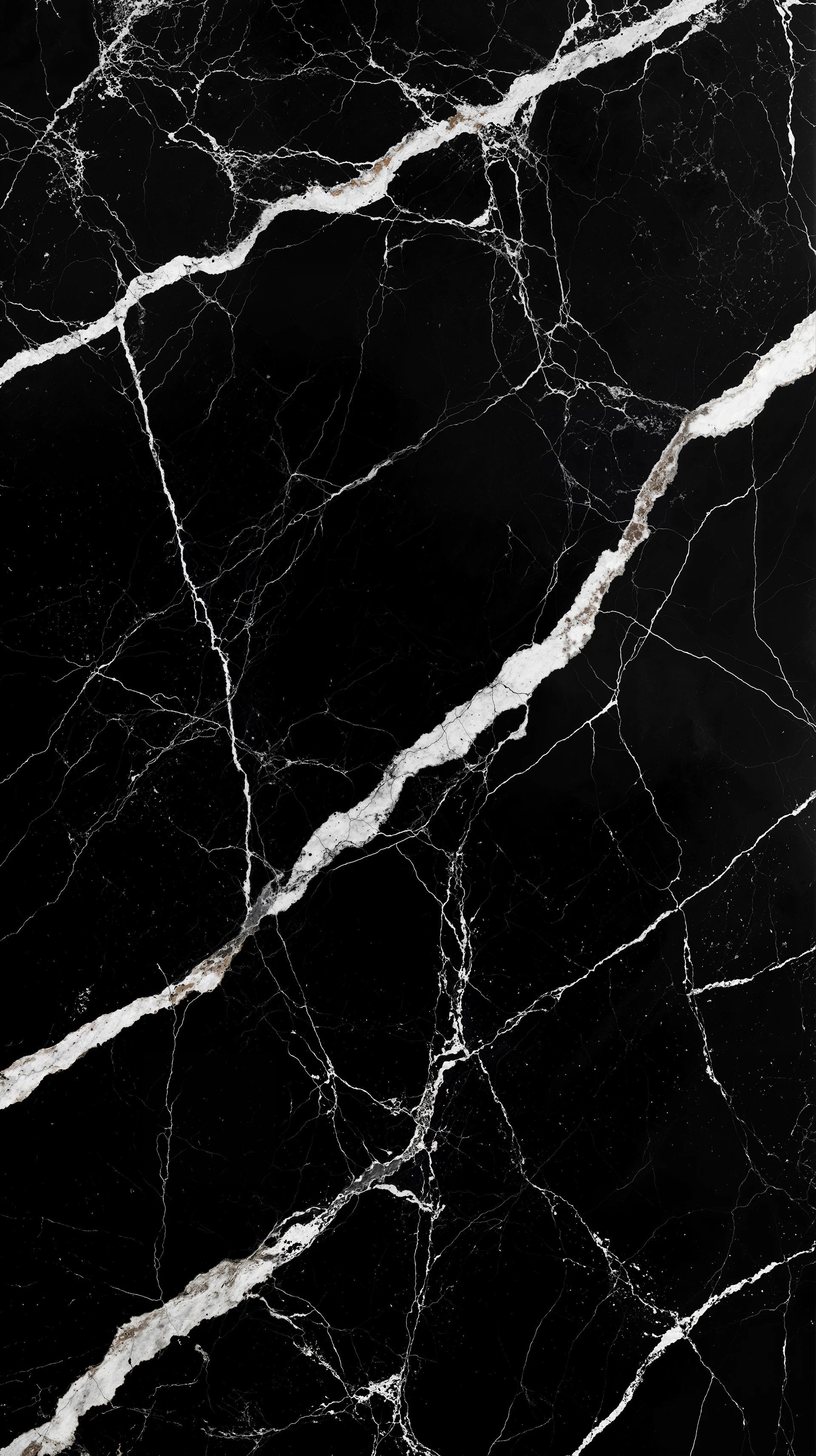 bur09wpcp60-cut.jpg
