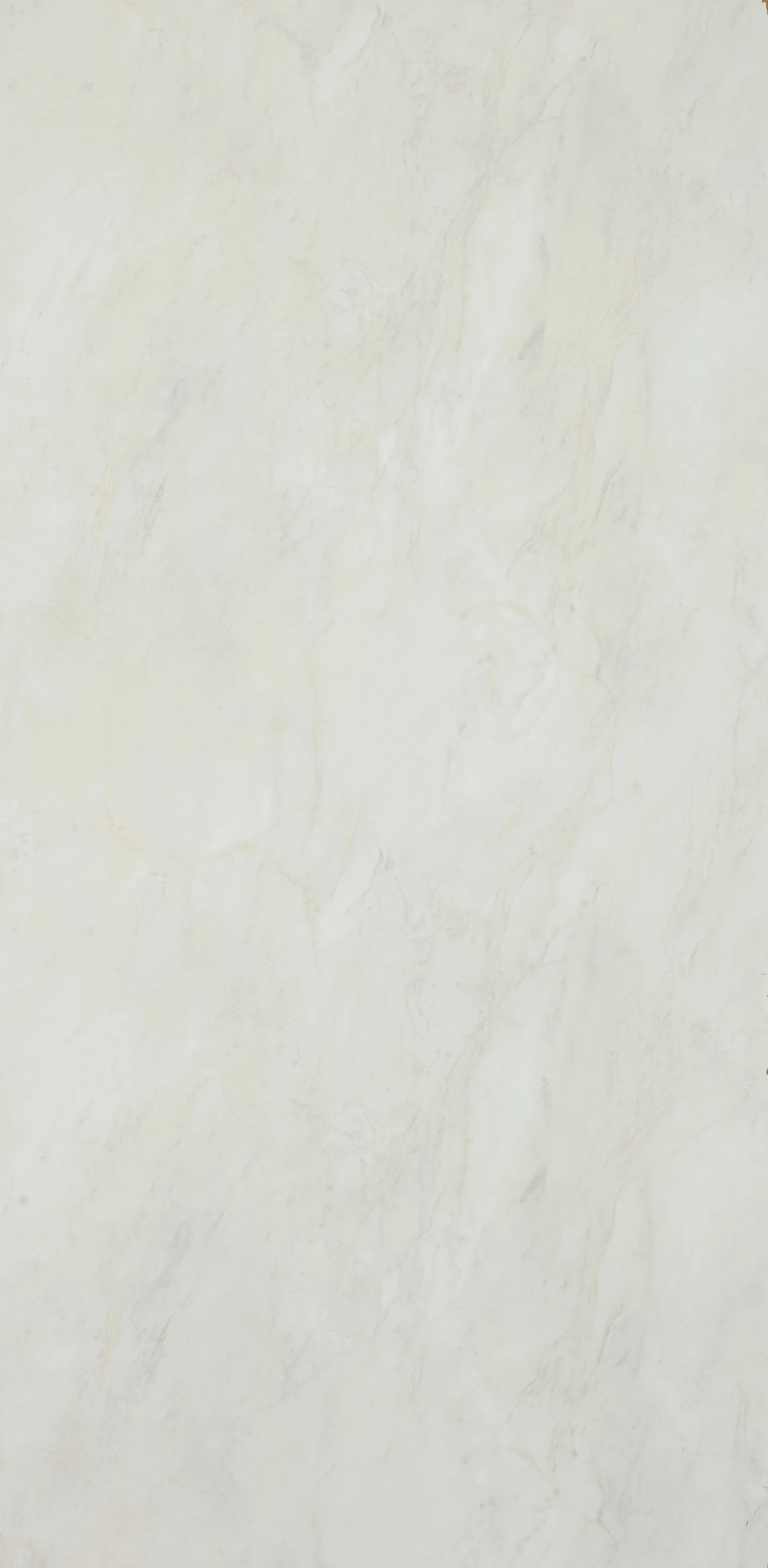 bur16wpcp60-cut.jpg