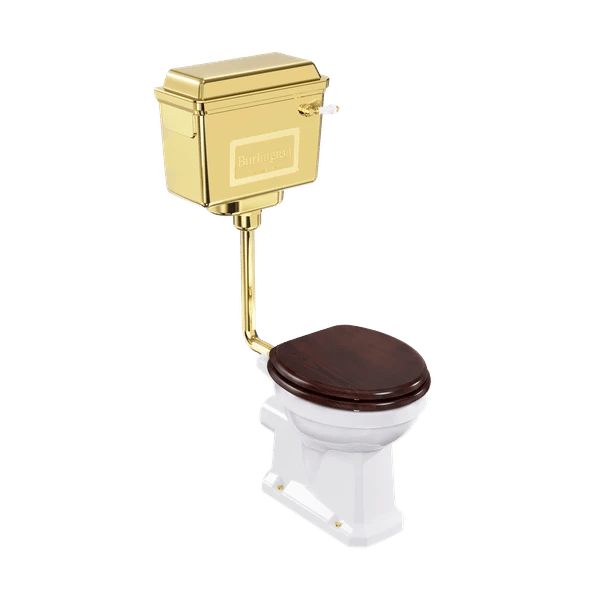 Low Level Toilet with  Metallic Cistern