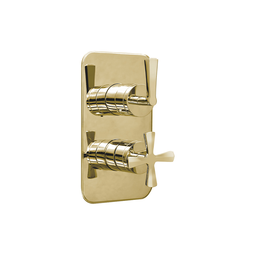 r2svgold-cut.jpg