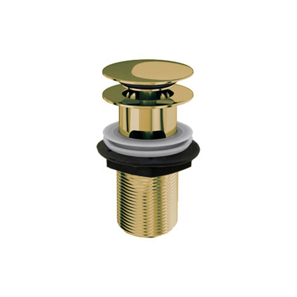 w11gold-cut.jpg