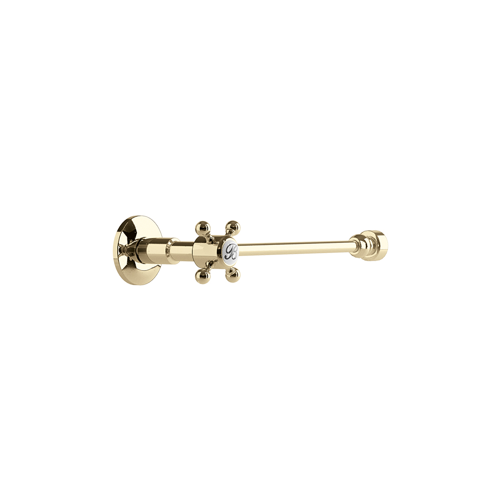 w25gold-cut.jpg