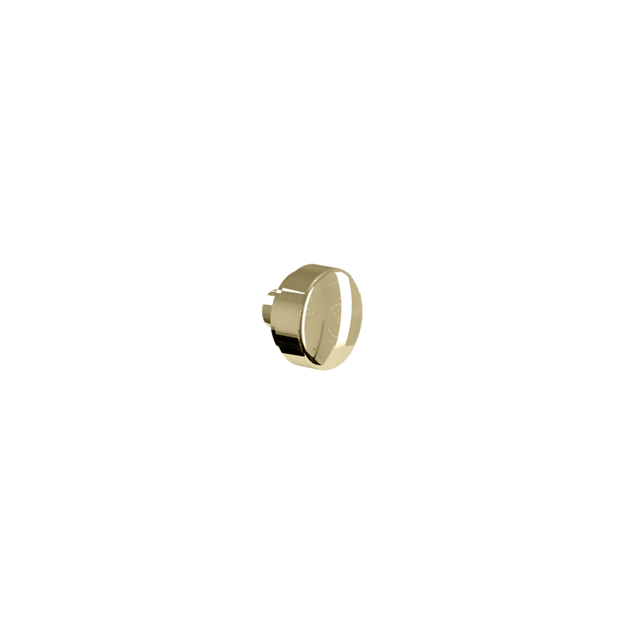 WC Pan Fixing Screws and Covers (Gold) SKU SP387 Burlington Bathrooms
